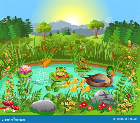 Duck Pond With Frogs, Swan, Ducklings And Fish Cartoon Vector ...