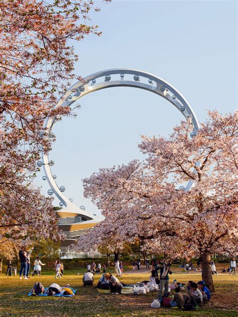 UNStudio Spokeless Ferris Wheel In Seoul Construction Supply Magazine