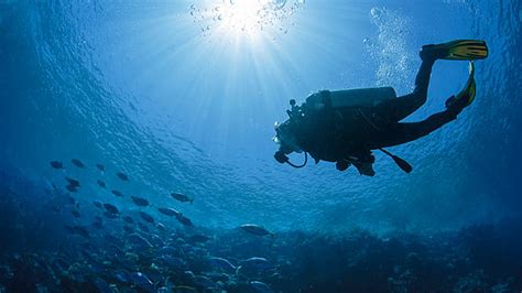 Piano Diving Club Stella Makadi Hotels And Resorts Makadi Bay