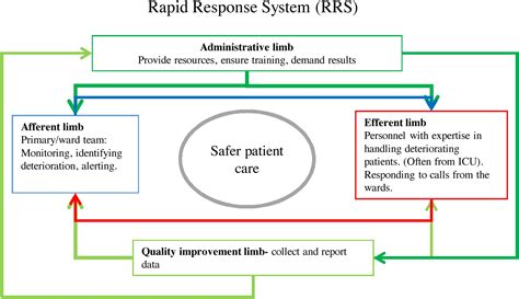 Succeeding With Rapid Response Systems A Never Ending Process A