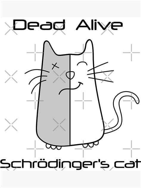 Schrödinger S Cat Dead And Alive Poster For Sale By Fancybubble Redbubble