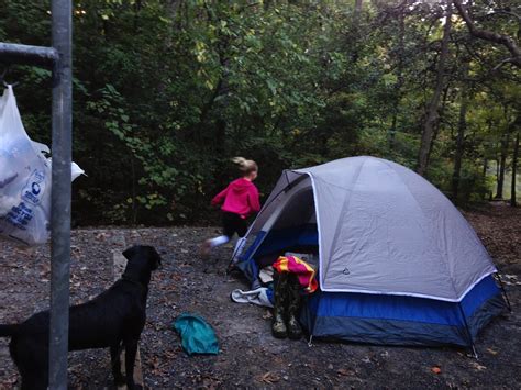 Nc Backcountry Badin Lake Campground In The Uwharrie National Forest