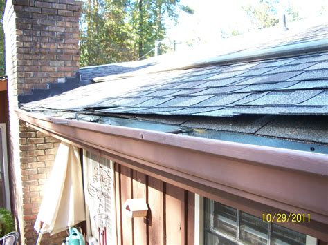 New regulations might soon lower the bat removal cost 18