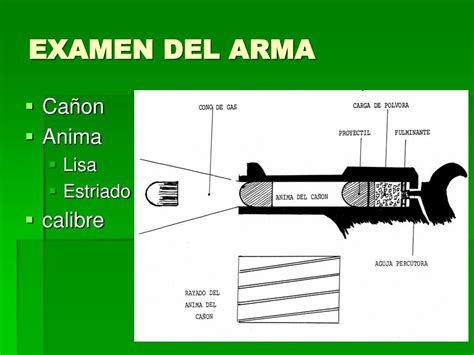 Ppt Lesiones Por Armas De Fuego Powerpoint Presentation Free