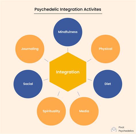 Psychedelic Integration Therapy Process