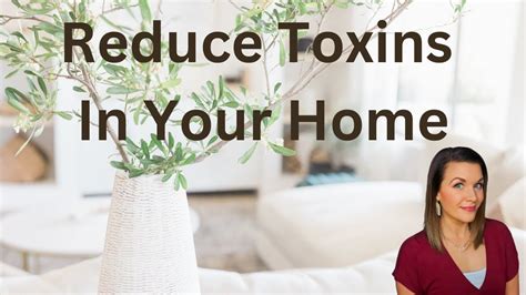 Easy Ways To Reduce Toxins In Your Home Lower Your Toxic Load And