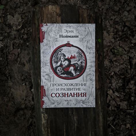 Психология / Алхимия / Самопознание