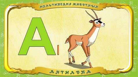 Картинки на букву а животные - Фотоподборки 1