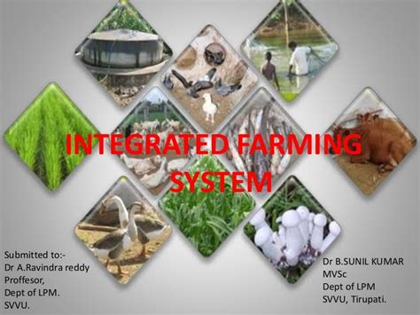 Integrated Farming System Model