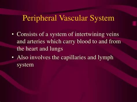 Ppt Peripheral Vascular System Powerpoint Presentation Free Download