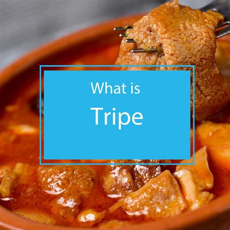 Understanding What Is Tripe: A Comprehensive Guide