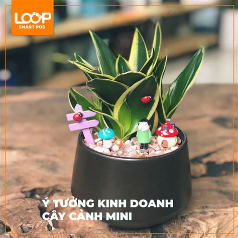 Cây Cảnh Mini đẹp Nhất đến Từ Chuyên Gia Cây Cảnh Mini đẹp Nhất để