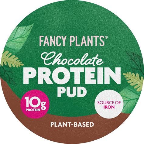 Fancy Plants Chocolate Protein Plant Based Pudding G Woolworths