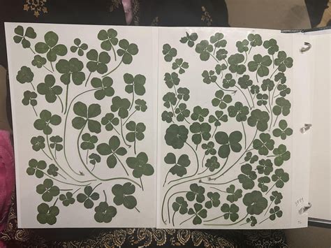 How printing email at staples reveals a surprising surge in analog 33