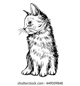 Hand Drawn Pussy Images Stock Photos Vectors Shutterstock