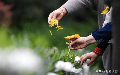 清明俗語：上墳必須拜五代，掃墓不能過未時，有何講究 每日頭條