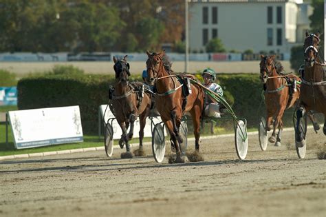 Berlin Trabrennbahn Mariendorf 11 9 2022 4 Ma Bonheur Vict Flickr