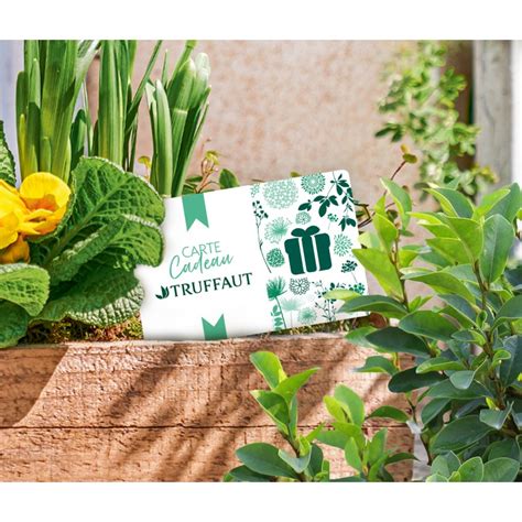 Cartes Cadeaux Jardinerie Truffaut Jardins Animaux Et Maisons