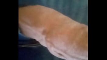 EL GRAN ESPECTÁCULO DE LA POLLA NEGRA PARTE DOS POR MCGOKU305 SAN XVIDEOS