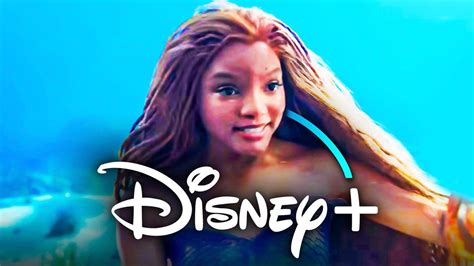 Sortie De La Petite Sir Ne Sur Disney D Couvrez La Nouvelle