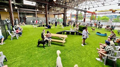 New Tuscaloosa pet resort will offer playground for dogs, bar for