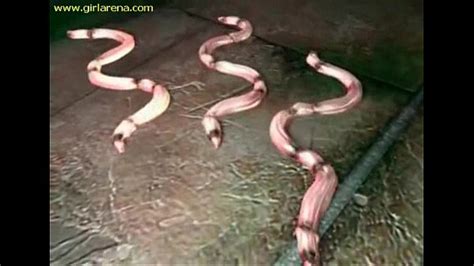 3d Hentai Ritual Hard Fuck Underground Free Mobile Porn Videos IPornTV