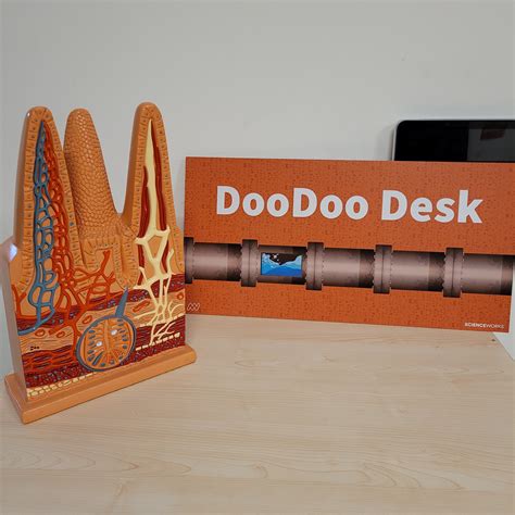 This tortuous intestines fact explains why your digestion is slowing down 8