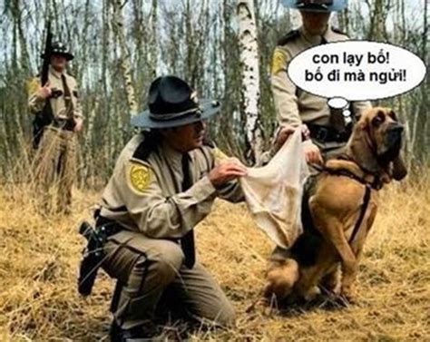 Bộ sưu tập những hình ảnh chế hài hước và ngộ nghỉnh nhất quả đất Thư viện Ảnh đẹp hot nhất