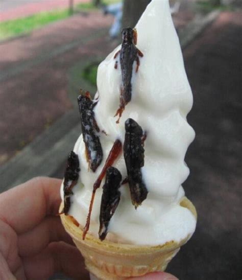 8 Insect Flavored Ice Creams Around The World That Not Everyone Can Eat