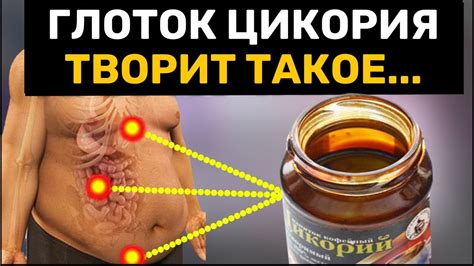 Вот что Творит Цикорий, если пить Каждый день - YouTube