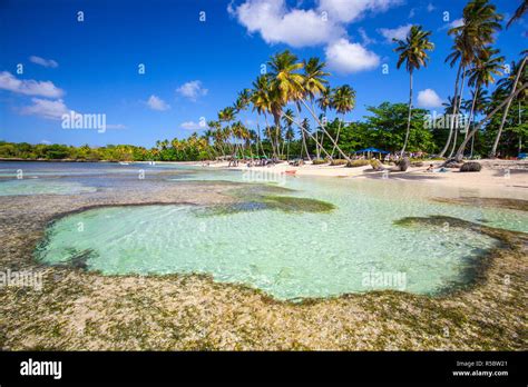 Dominican Republic Samana Peninsula Las Galleras La Playita Beach