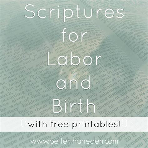 Scriptures For Labor And Birth Mary Haseltine