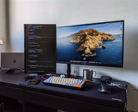 top monitors  rosie betteann