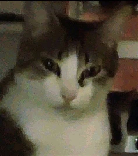My Reaction That Information Blank Template Imgflip