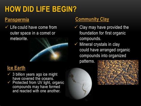 Topic 6 origins of life ppt