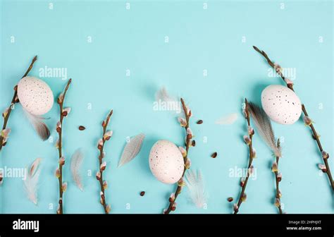 Easter Holiday Background Nest With Small Eggs Branches Of Pussy Willow Greeting Card Spring