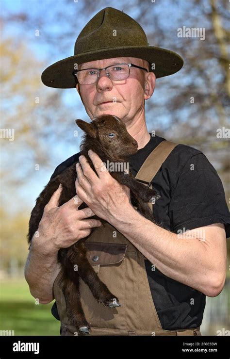 Dwarf Sheep Hi Res Stock Photography And Images Alamy