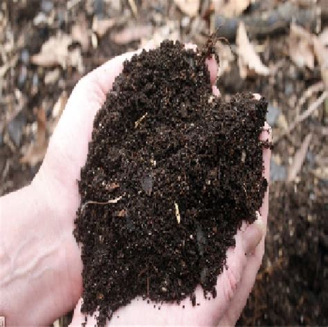 Powder Organic Compost Fertilizer Pack Size Kg At Rs Ton In