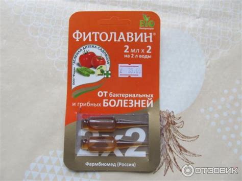 Препарат Фитолавин