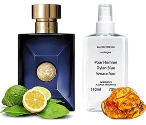 Versace Dylan Blue Pour Femme (Версаче Дилан Блю Пур Фемм) 110 ml (ID ...
