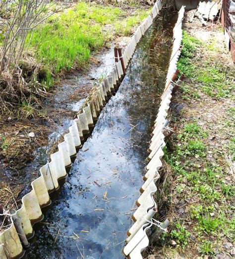 Дренажная система участка - типы и советы по устройству дренажа