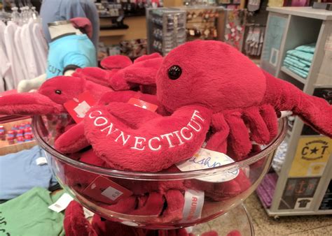 CNBC | Bradley International Airport