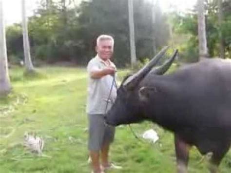 Work Gay Xhamster Spectrumgasw