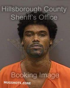 Lamar Jamarcus Hillsborough County Mugshots Zone