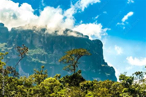 View Of Auyan Tepui From The Carrao River On The Way Laguna De Canaima