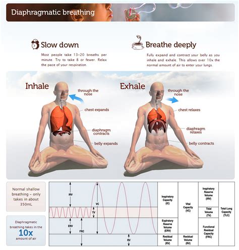 Saagara Guide To Deep Breathing Pranayama Yoga Breathing