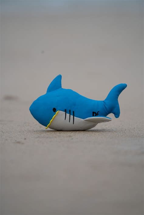 PETFACE PLANET OCEAN CYCLE SALINA SHARK PLUSH DOG TOY : Petface by ...