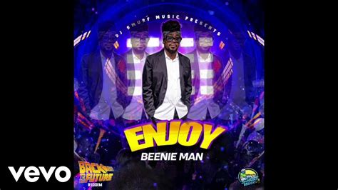 Beenie Man Enjoy Official Visualizer Youtube