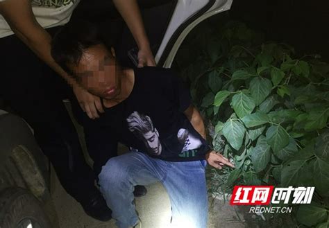 桃江公安破获一起盗窃案 男子赌博输钱行窃落网 益阳新闻 益阳站 红网