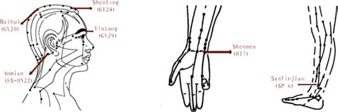 Location Of Acupoints Download Scientific Diagram